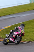 PJ-Motorsport-2019;anglesey-no-limits-trackday;anglesey-photographs;anglesey-trackday-photographs;enduro-digital-images;event-digital-images;eventdigitalimages;no-limits-trackdays;peter-wileman-photography;racing-digital-images;trac-mon;trackday-digital-images;trackday-photos;ty-croes